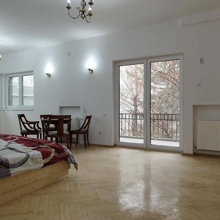 Central Appartment - Heart Of Bucharest - Sector 1 - New Renovated - Open Space Exteriér fotografie