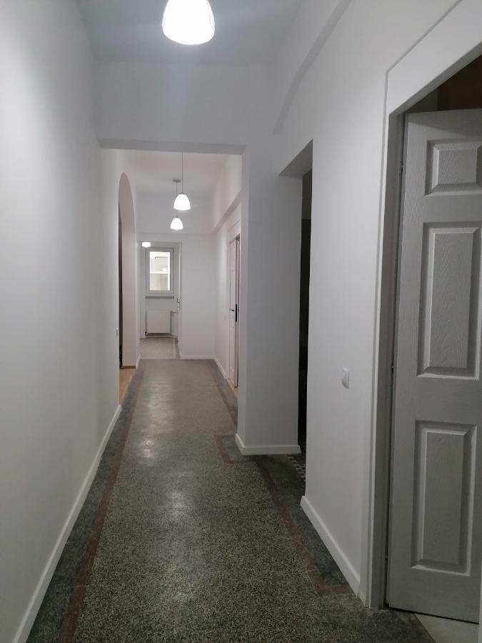 Central Appartment - Heart Of Bucharest - Sector 1 - New Renovated - Open Space Exteriér fotografie